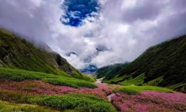Valley of Flowers
