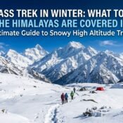 Kuari Pass Trek in Winter: What to Expect When the Himalayas Are Covered in Snow