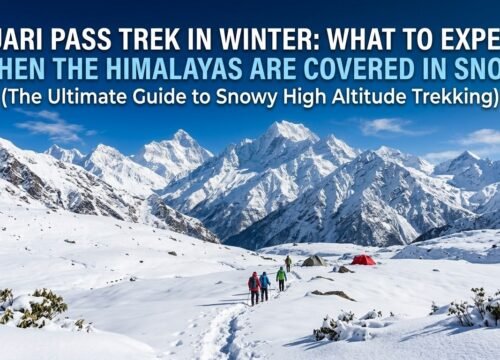 Kuari Pass Trek in Winter: What to Expect When the Himalayas Are Covered in Snow