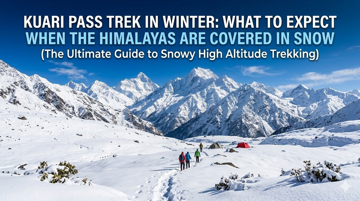 Kuari Pass Trek in Winter: What to Expect When the Himalayas Are Covered in Snow